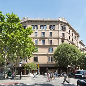 Oliva Barcelona