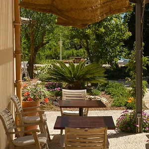home-hotel-the-pink-pepper-tree.allmallorcahotels.com/